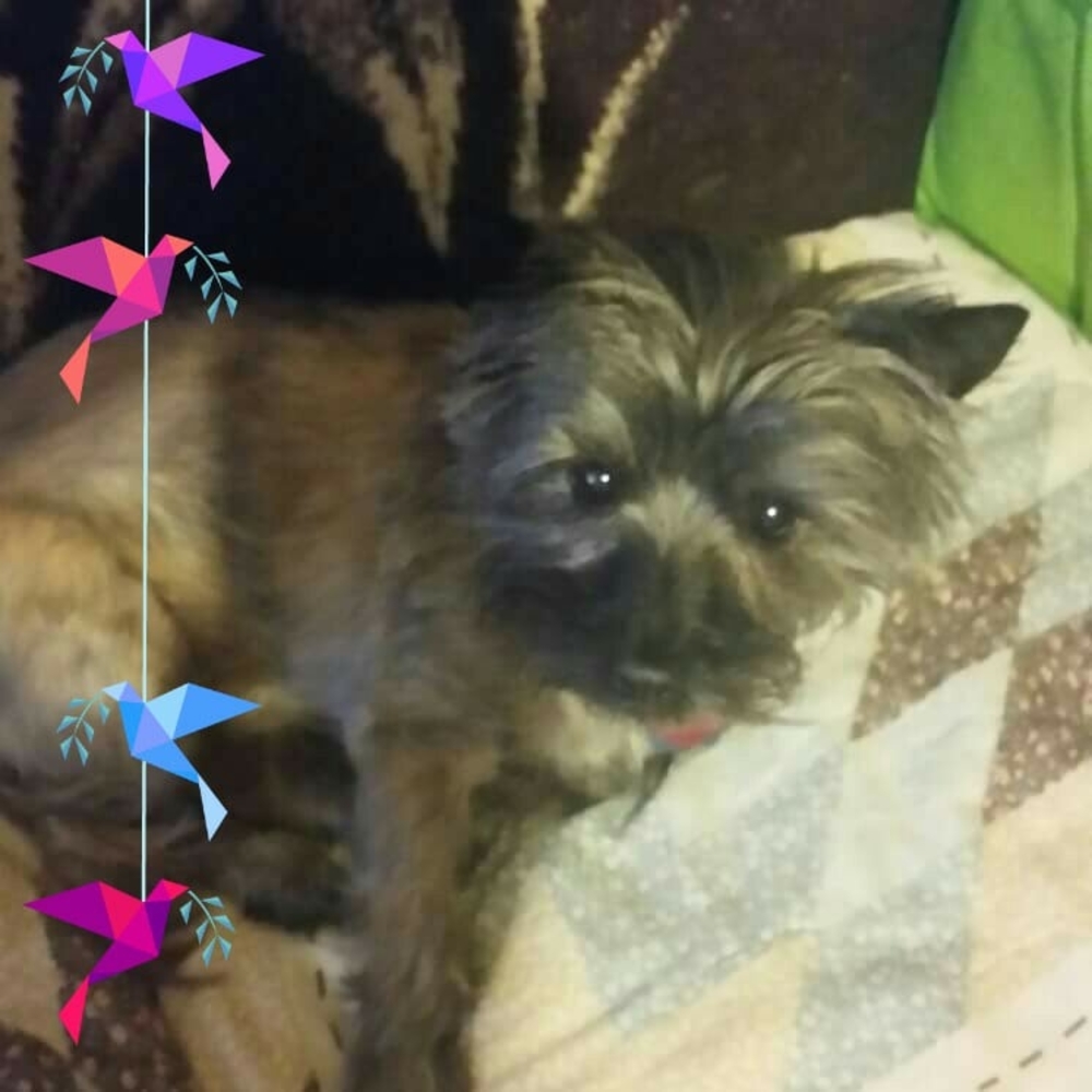 Meet your Posher, Gloria